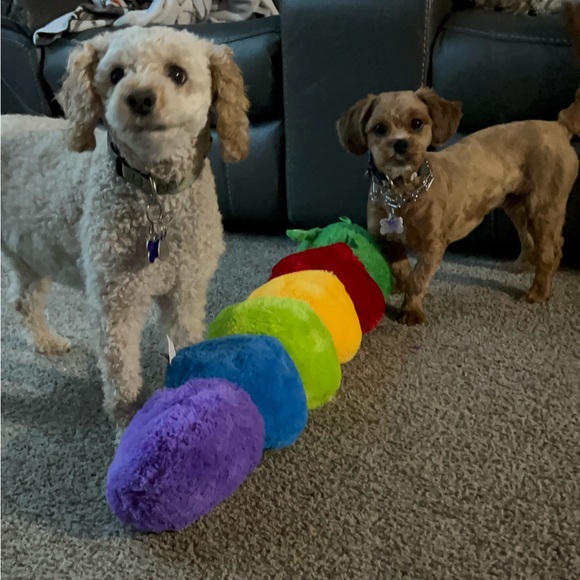 Meet your Posher, Emma - Picture 2 of 8